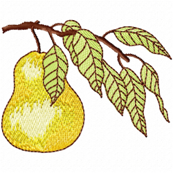 Pear Embroidery Design 9 Pear Embroidery Design 9